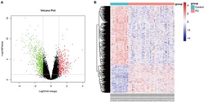 Identification of Prostate Cancer Risk Genetics Biomarkers Based on Intergraded Bioinformatics Analysis